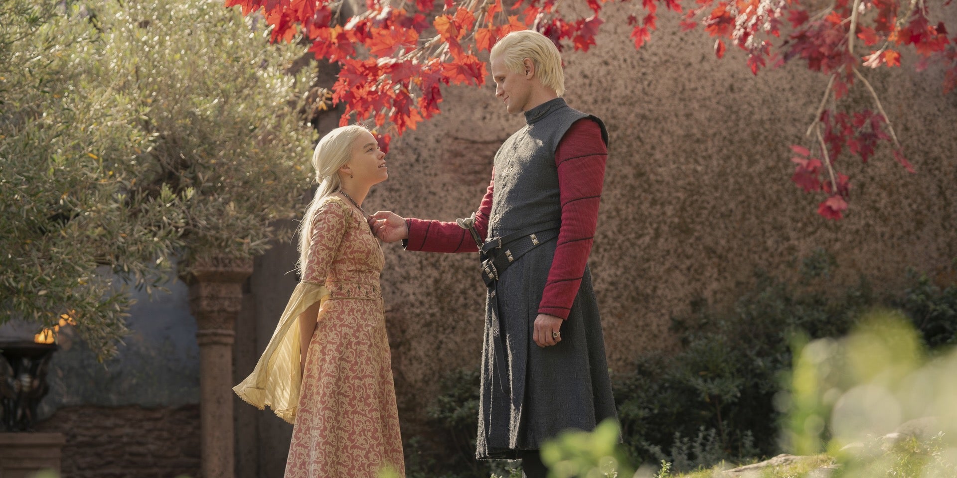 'House of the Dragon' clarifies and expands on a 'Fire & Blood' element - Vimarsana News