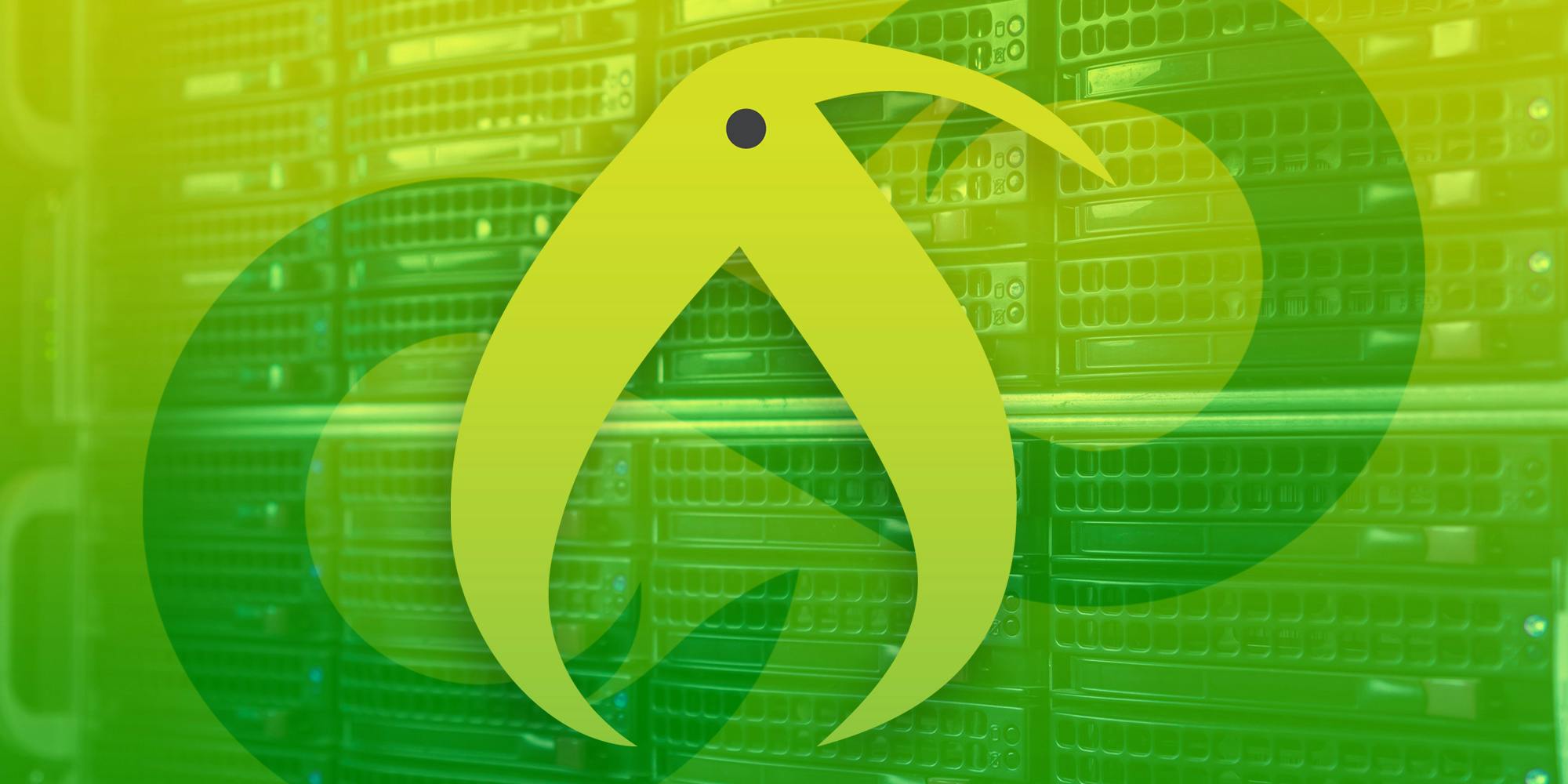 Kiwi Farms logo over data server background with 8chan logo overlay