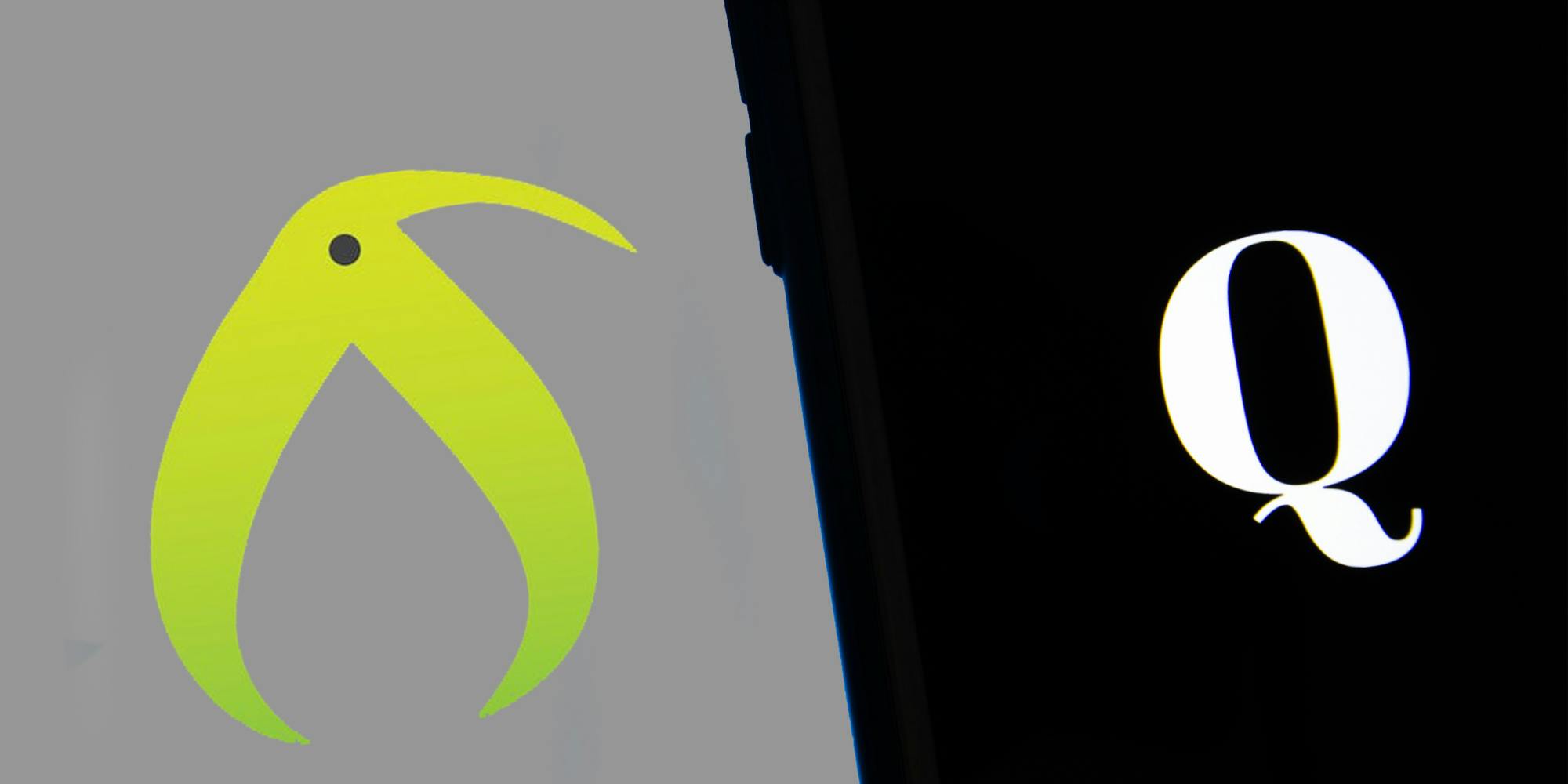 Kiwi Farms logo on gray background with silhouette of phone with "Q" on screen on right