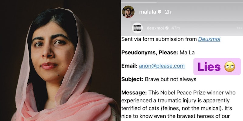 Malala in front of brown background (l) Malala Instagram story response caption 'Sent via form submission from Deuxmoi Pseudonyms, Please: Ma La Email: anon@please.com Subject: Brave but not always Message: This Nobel Peace Prize winner who experienced a traumatic injury is apparently terrified of cats (felines, not the musical). It's nice to know even the bravest heroes of our...' 'Lies' (r)