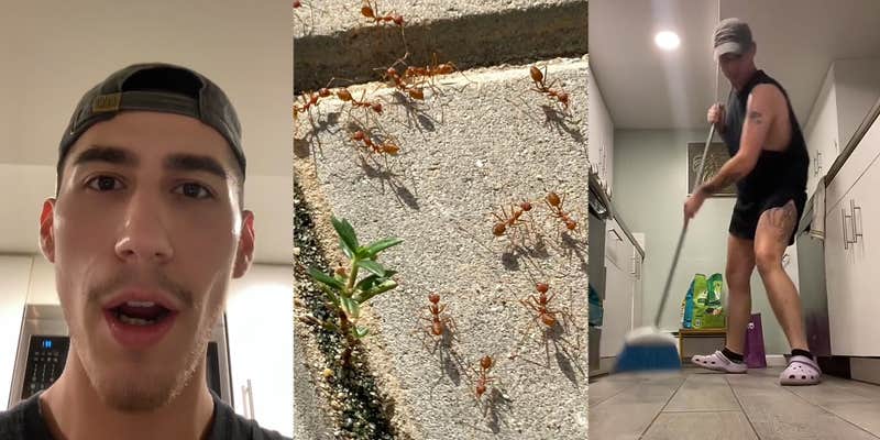 man speaking in front of white walls (l) ants on sidewalk outside (c) man aggressively sweeping kitchen (r)