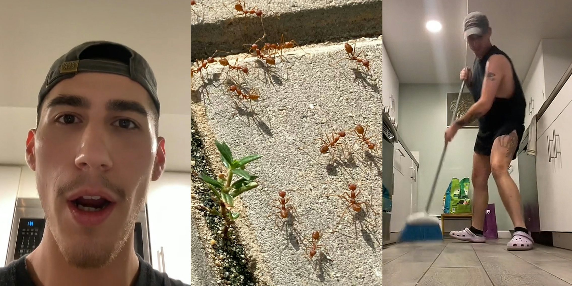 man speaking in front of white walls (l) ants on sidewalk outside (c) man aggressively sweeping kitchen (r)