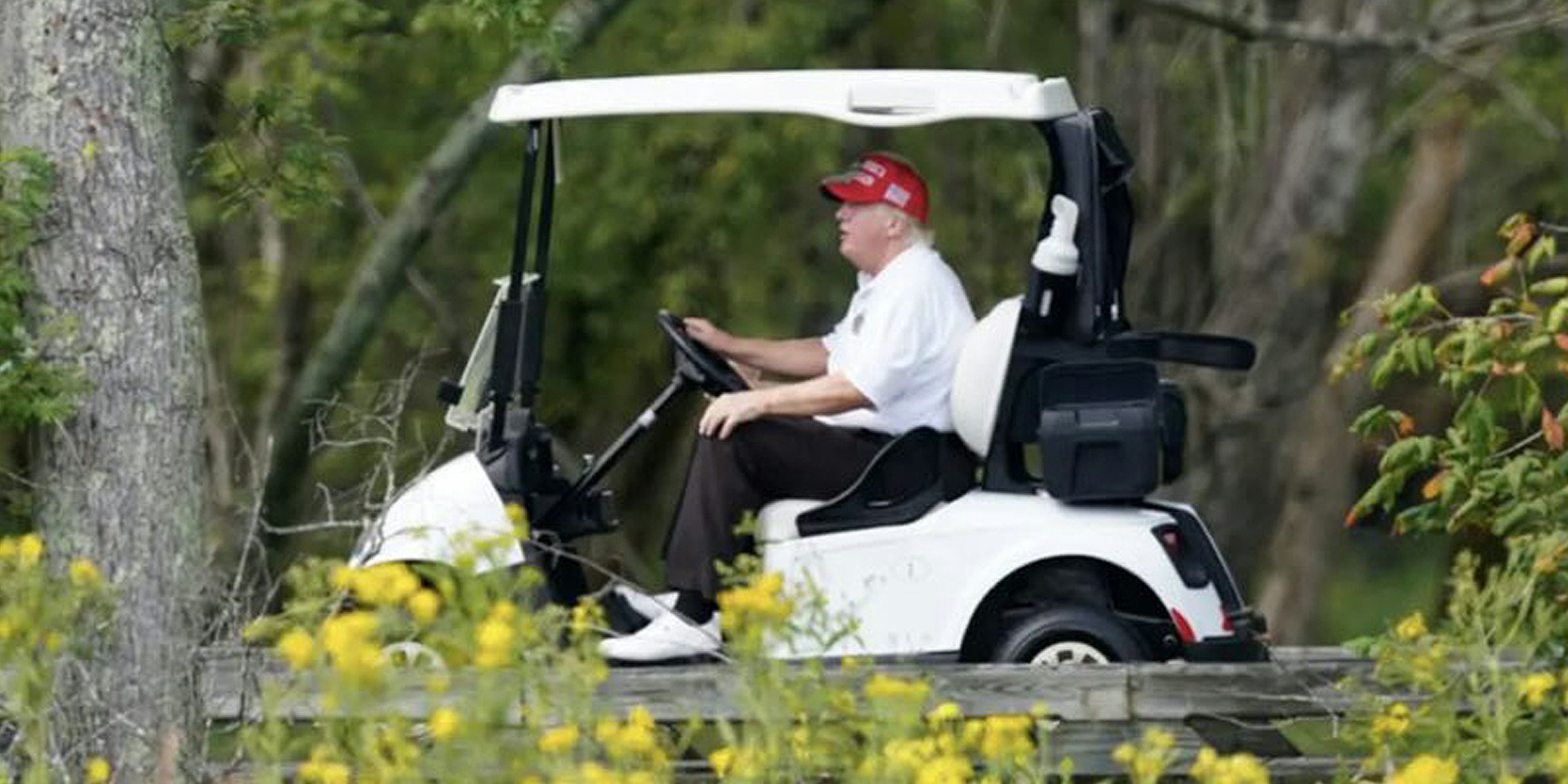 Donald Trump driving golf cart in nature