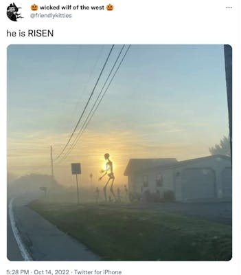 giant skeleton highlighted by the rising sun