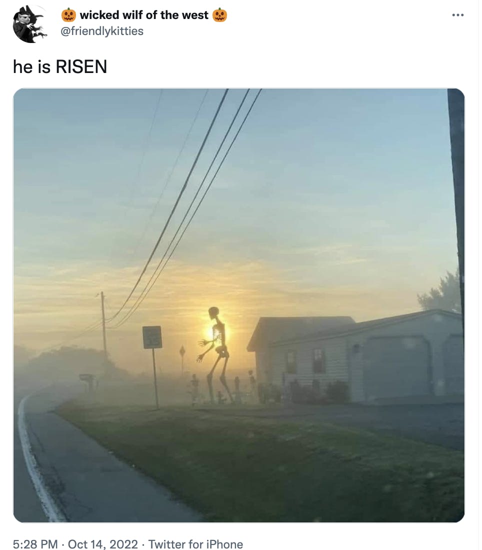 giant skeleton highlighted by the rising sun