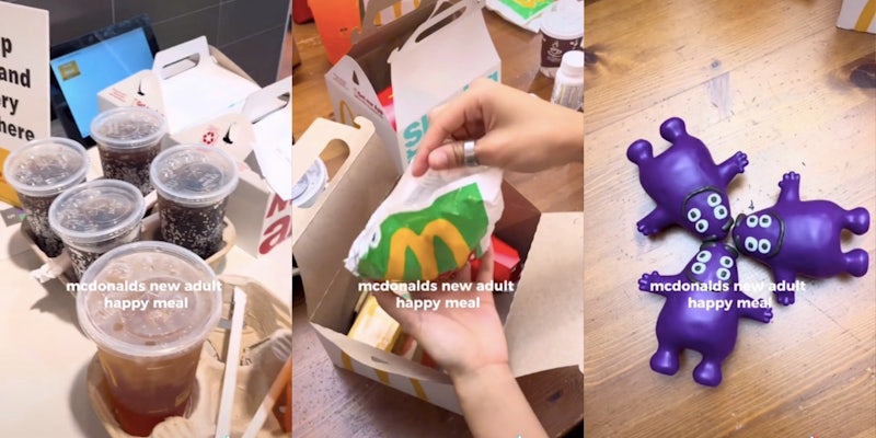 tiktokers show what's in the mcdonalds adult happy meal tiktok