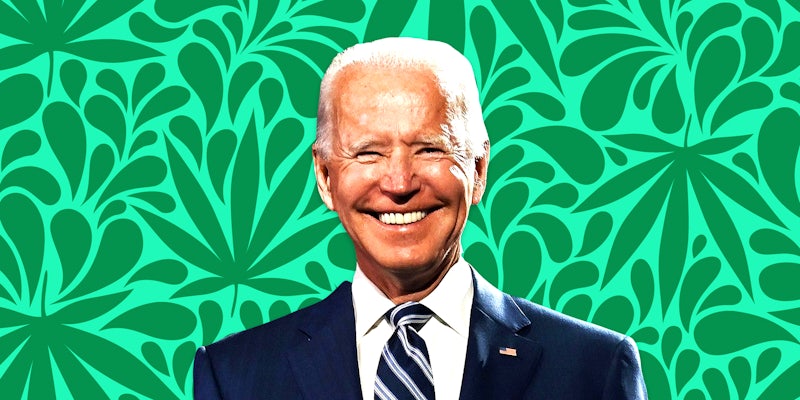 Joe Biden smiling in front of cannabis leaves and green accents
