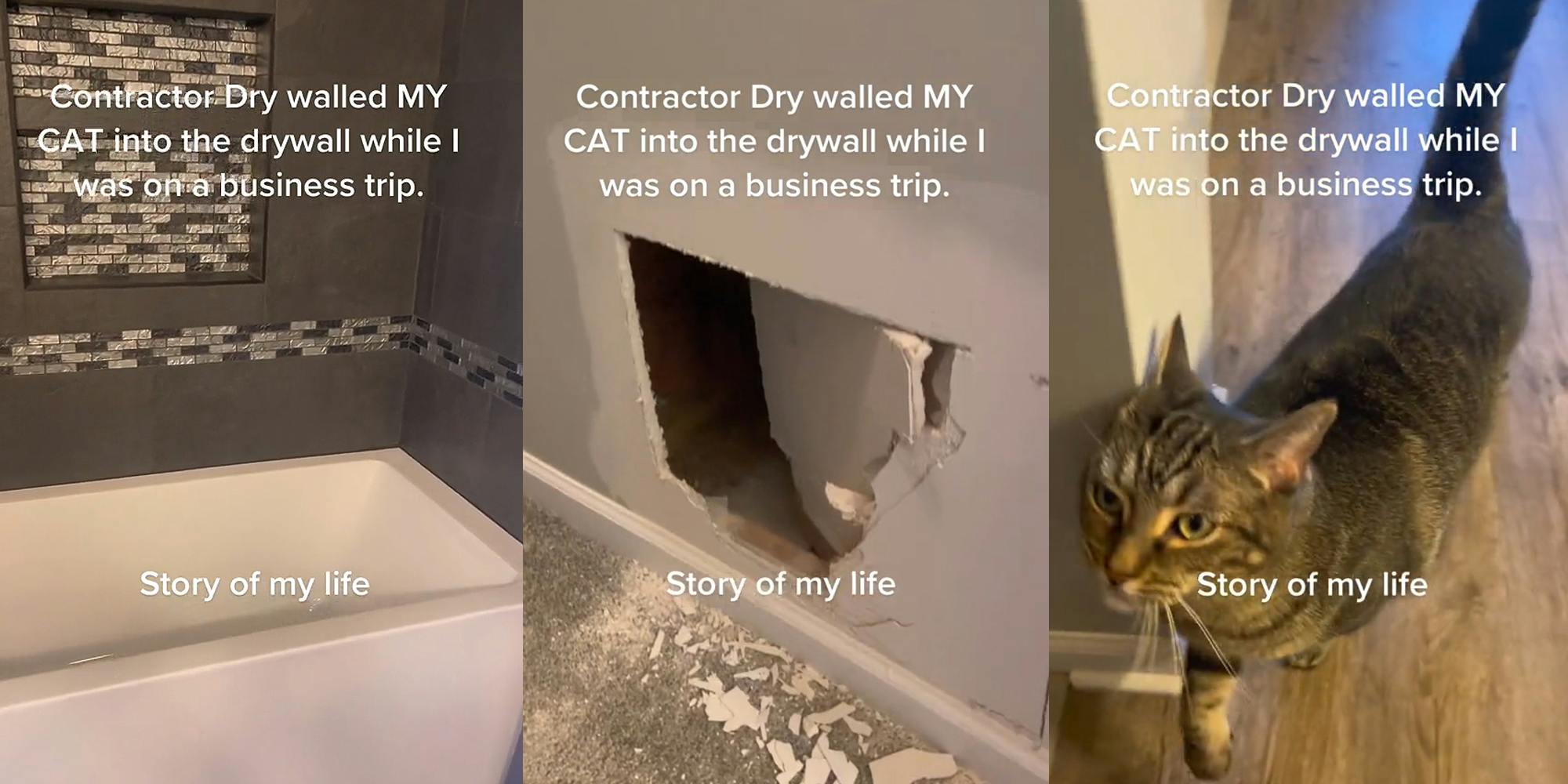Bathroom shower and bathtub caption 'Contractor Dry walled MY cat into the drywall while I was on a business trip. Story of my life' (l) Hole punched into wall caption 'Contractor Dry walled MY cat into the drywall while I was on a business trip. Story of my life' (c) cat rubbing against wall caption 'Contractor Dry walled MY cat into the drywall while I was on a business trip. Story of my life' (r)