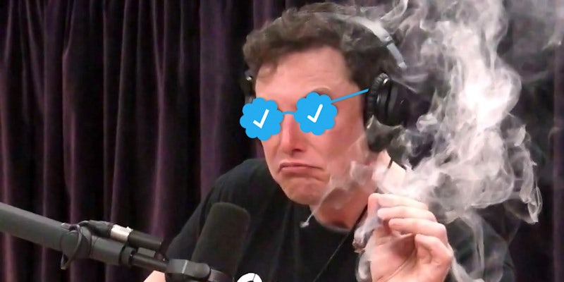elon musk with twitter signs on his eyes