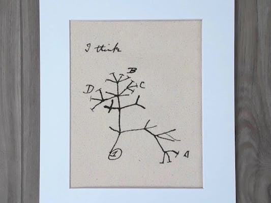 Darwin 'Tree of Life' Print