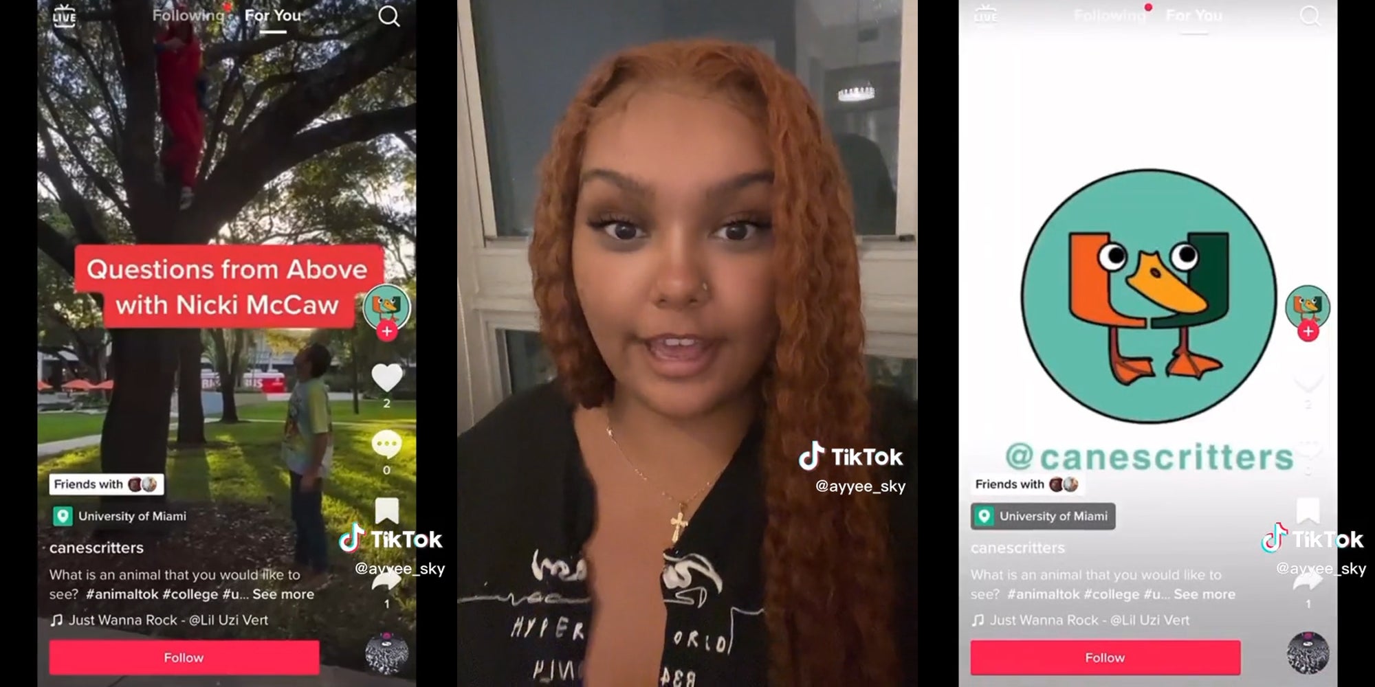 Homepage article image