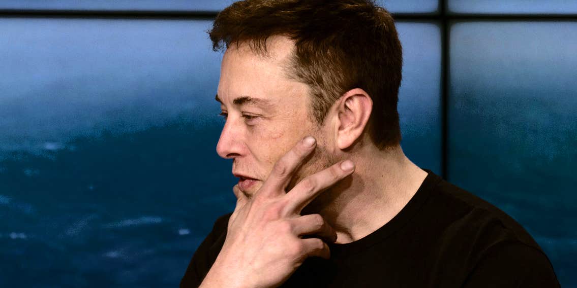 Elon Musk cracks down on Twitter parody accounts, suspending Kathy Griffin