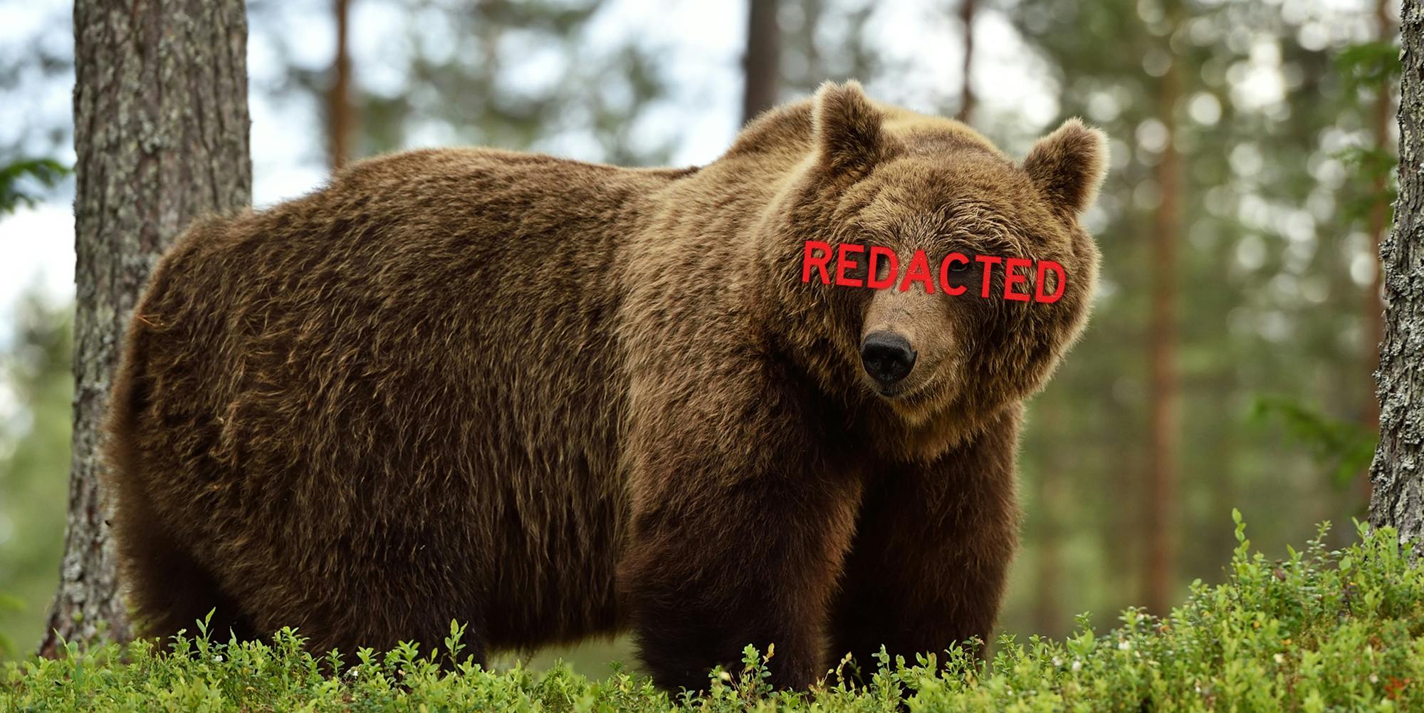 Brown bear in forest with "REDACTED" in red over eyes