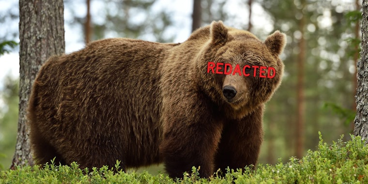 Brown bear in forest with 'REDACTED' in red over eyes
