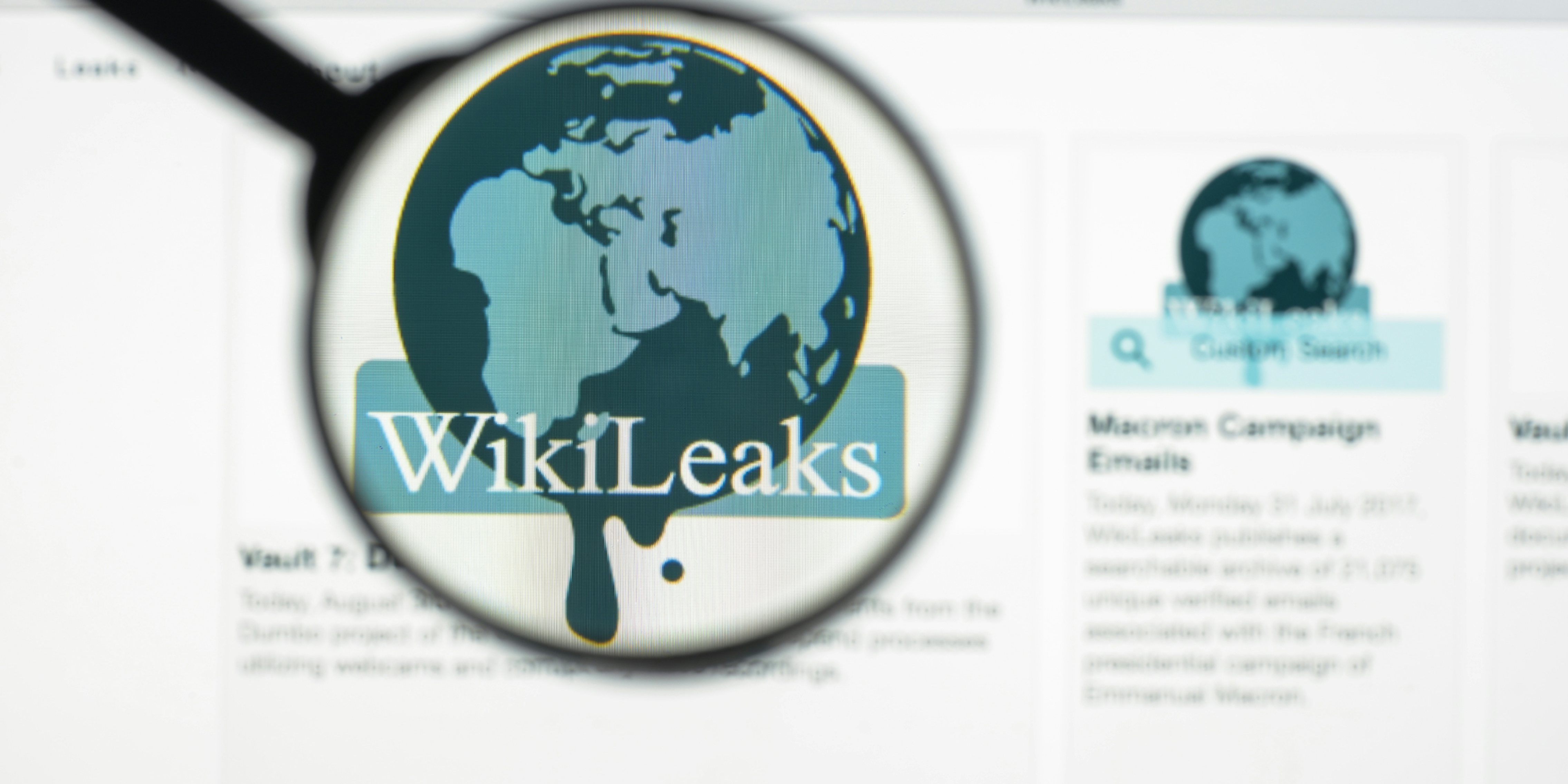 wikileaks logo under a microscope
