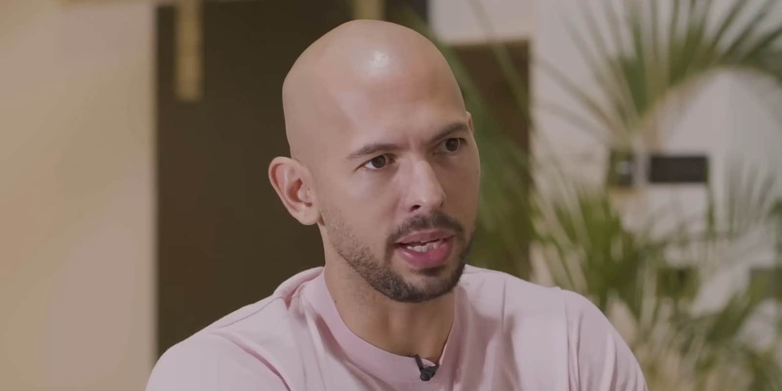 Andrew Tate The Daily Dot andrew-tate-the-daily-dot