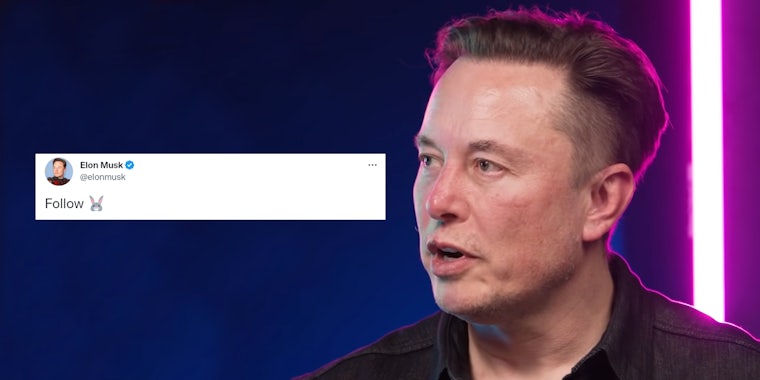 Elon Musk speaking on blue and purple background with tweet 'Follow (rabbit emoji)'
