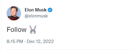 Elon Musk QAnon: White Rabbit Tweet Inspires Conspiracies