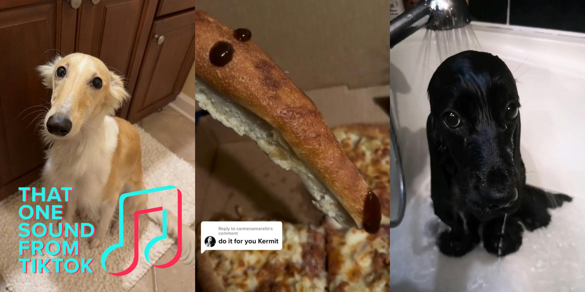 dog sitting on bathroom floor with That One Sound From TikTok logo (l) bread with sauce that looks like long face dog with caption "do it for you Kermit" (c) sad dog in bathtub with shower running (r)