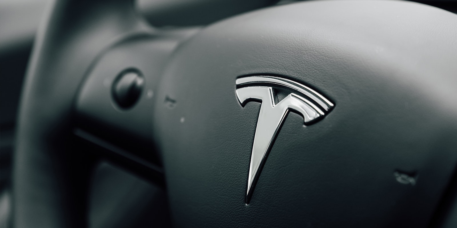 Tesla logo on steering wheel