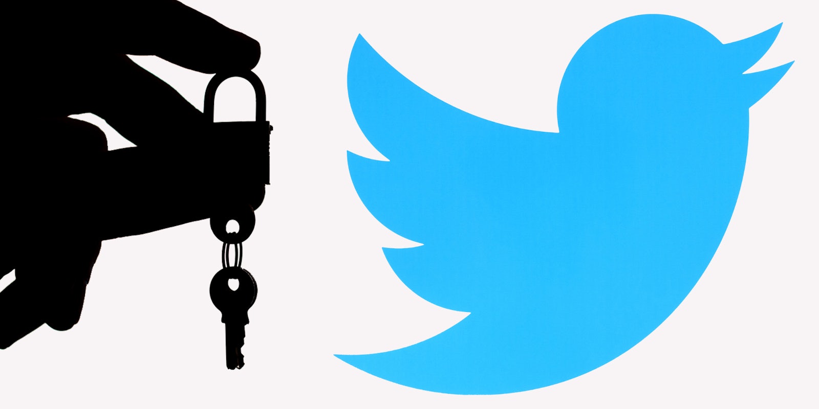 Hand holding lock with keys inside silhouette in front of white background with Twitter bird logo to right