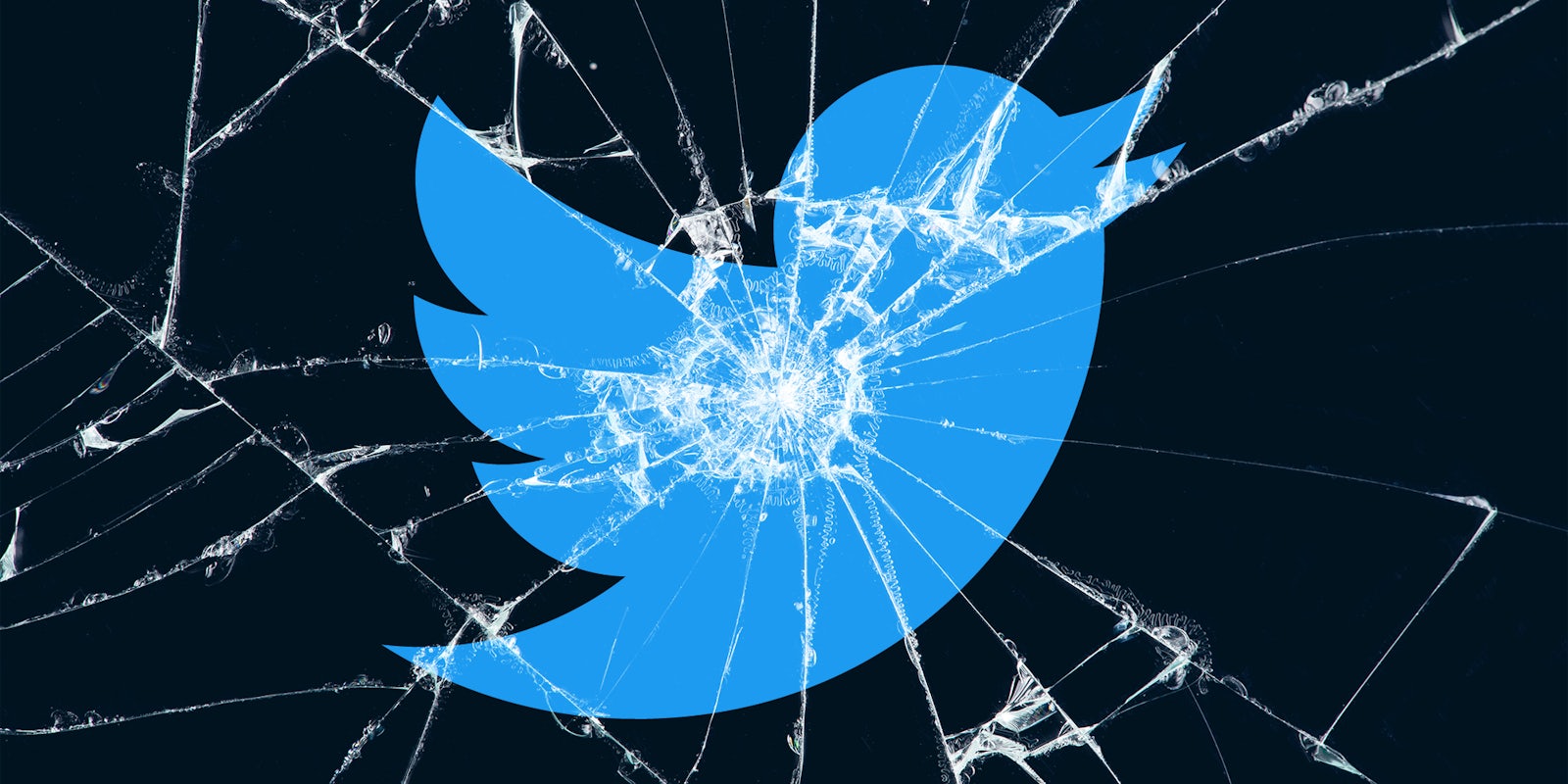 twitter icon with smashed glass overlay