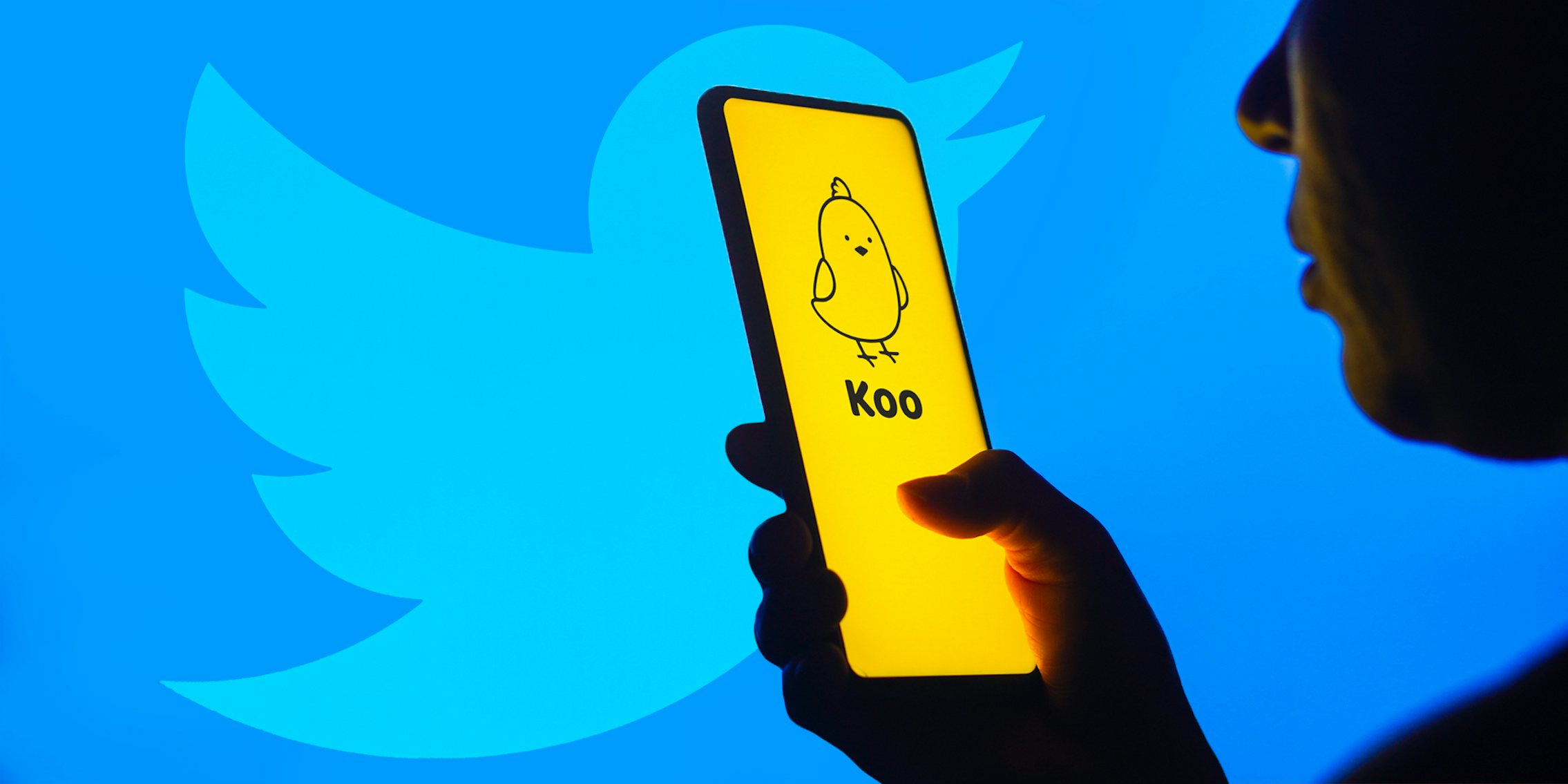 person holding phone with Koo app on screen in front of Twitter bird blue background