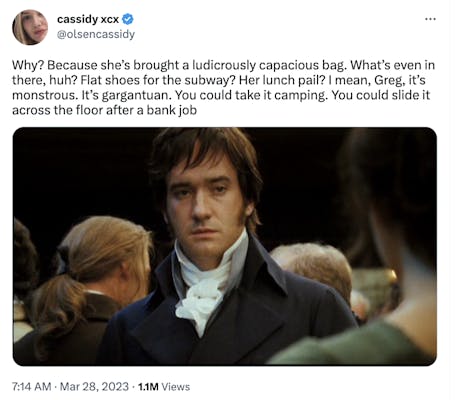 mr darcy looking at elizabeth with the quote, "because she's brought a ludicrously capacious bag?"