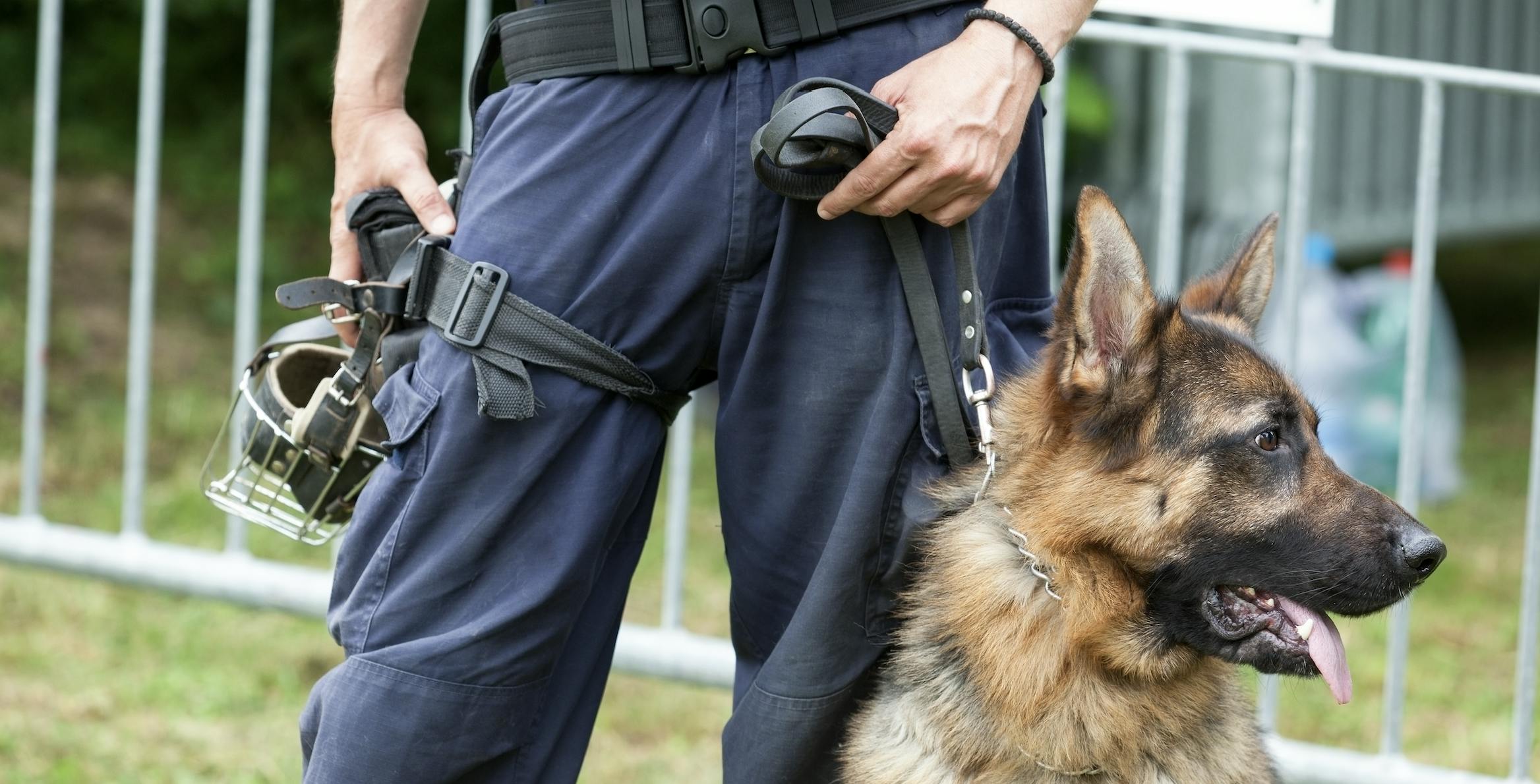police dog