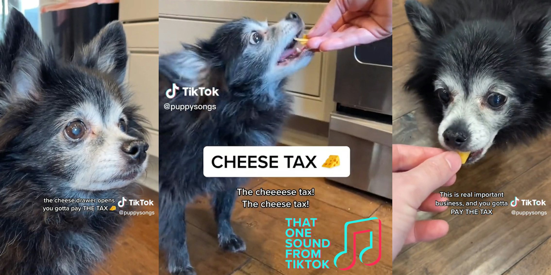 why-the-cheese-tax-song-has-taken-over-tiktok