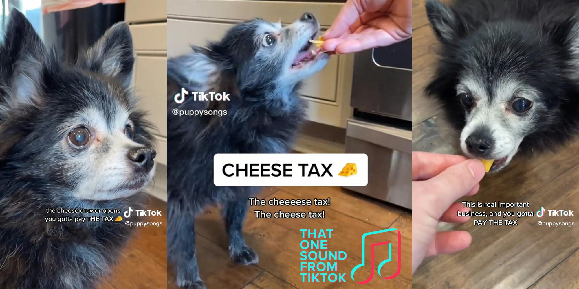 ‘You’ve changed my life’: Why the ‘Cheese Tax’ song is unavoidable