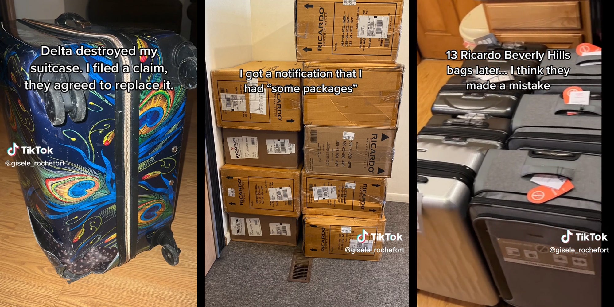 suitcases replaced by Delta