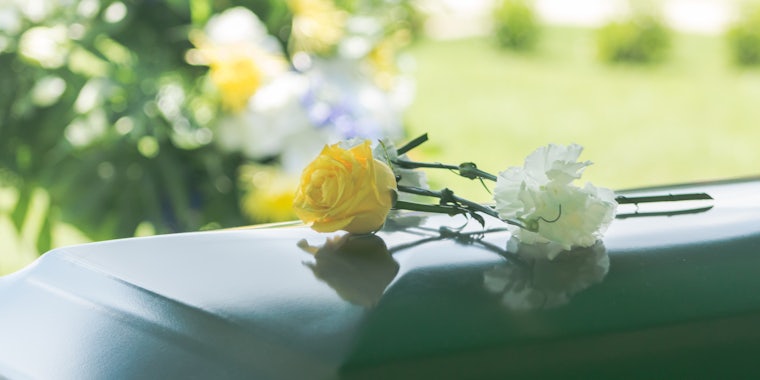 close-up image of roses on top of a black coffin