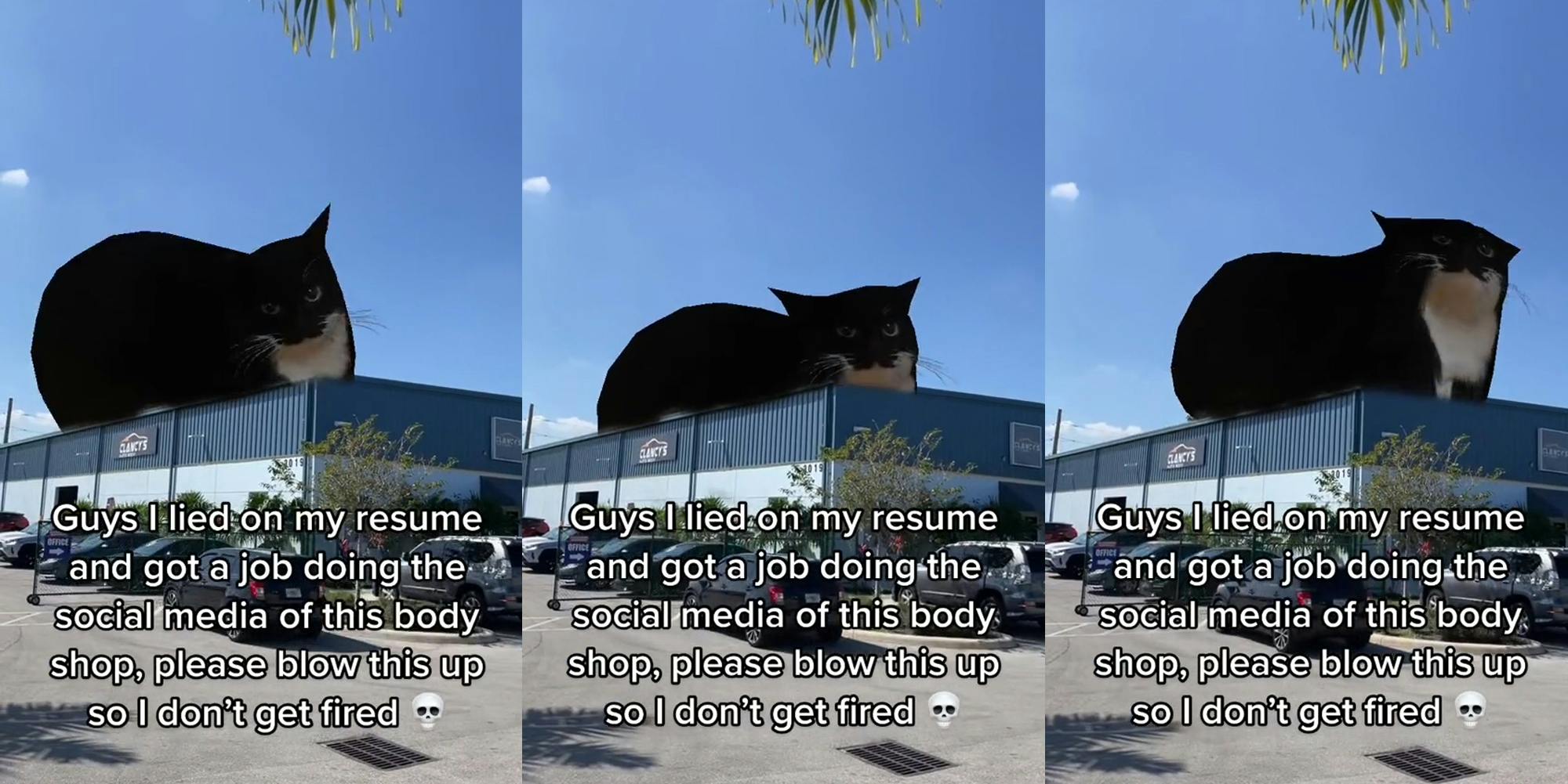 Clancy's Auto Body Shop with cat meme and caption "Guys I lied on my resume and got a job doing the social media of this body shop, please blow this up so I don't get fired" (l) Clancy's Auto Body Shop with cat meme and caption "Guys I lied on my resume and got a job doing the social media of this body shop, please blow this up so I don't get fired" (c) Clancy's Auto Body Shop with cat meme and caption "Guys I lied on my resume and got a job doing the social media of this body shop, please blow this up so I don't get fired" (r)