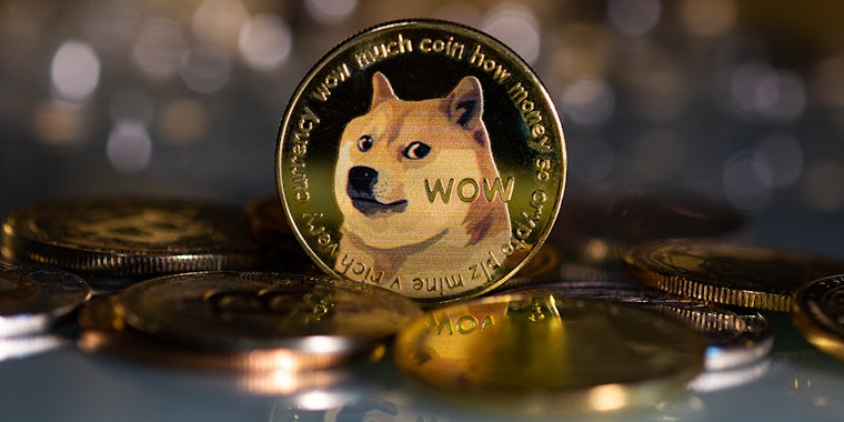 Elon Musk Dogecoin DOGE cryptocurrency means of payment in the financial sector