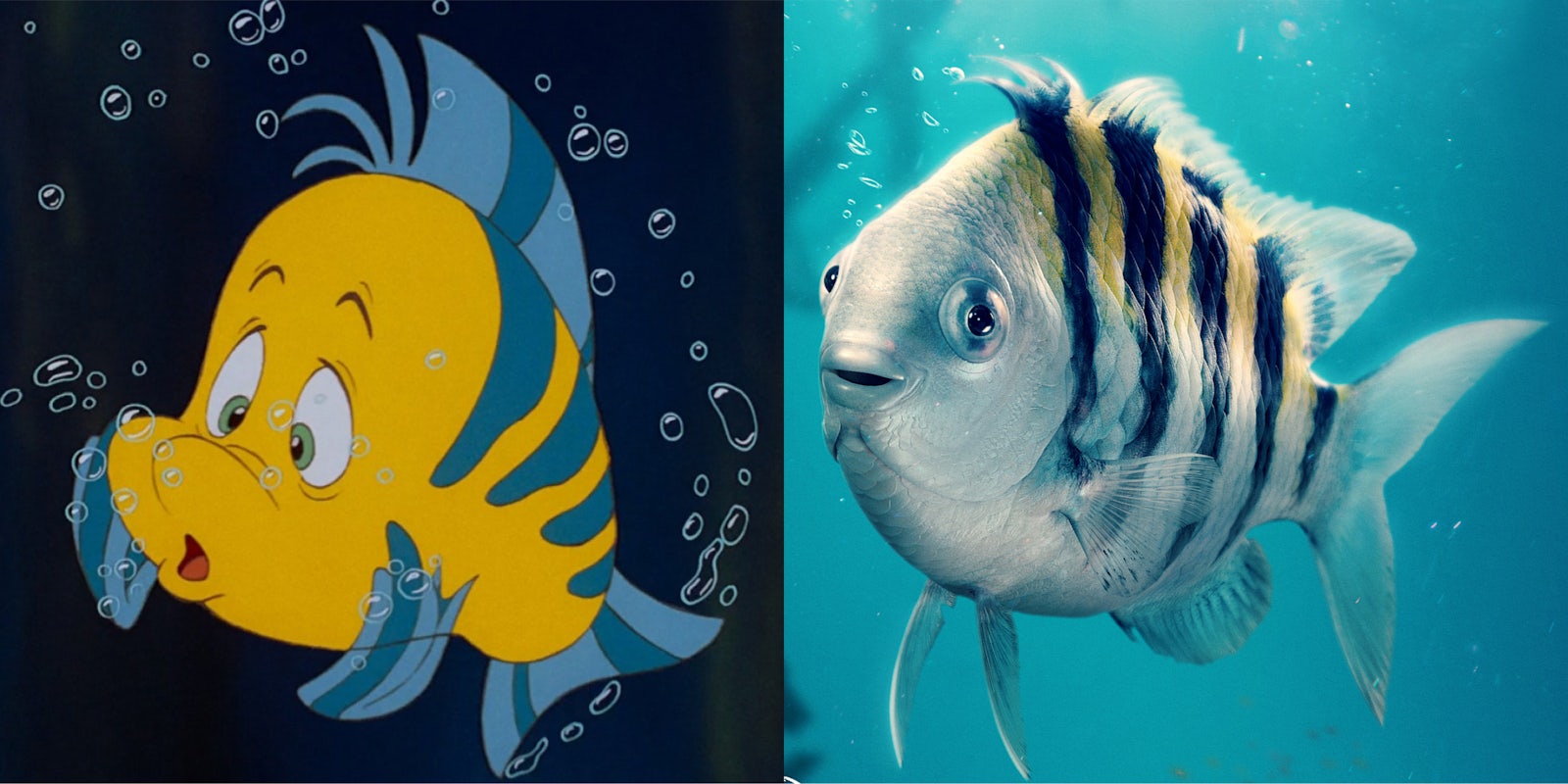 A school of Flounder memes emerge from 'The Little Mermaid' character  posters