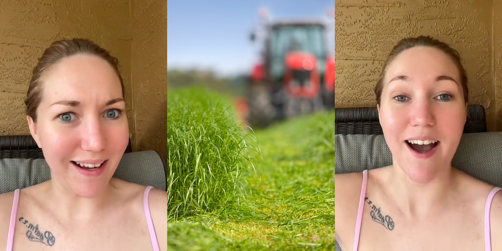 topless maid speaking in front of tan wall (l) mowed grass with blurry tractor background (c) topless maid speaking in front of tan background (r)