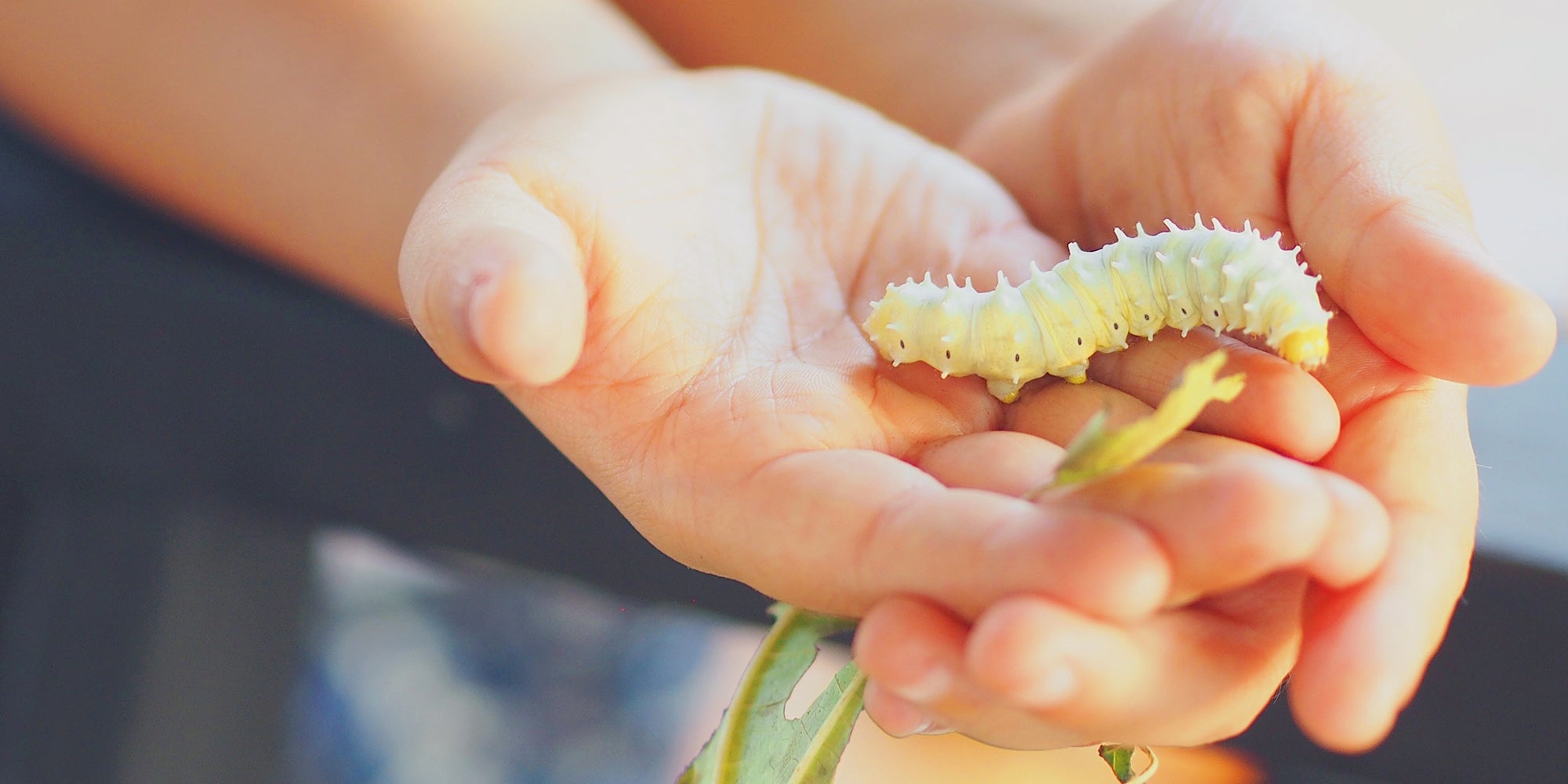 Would you still love me if i was a worm meme