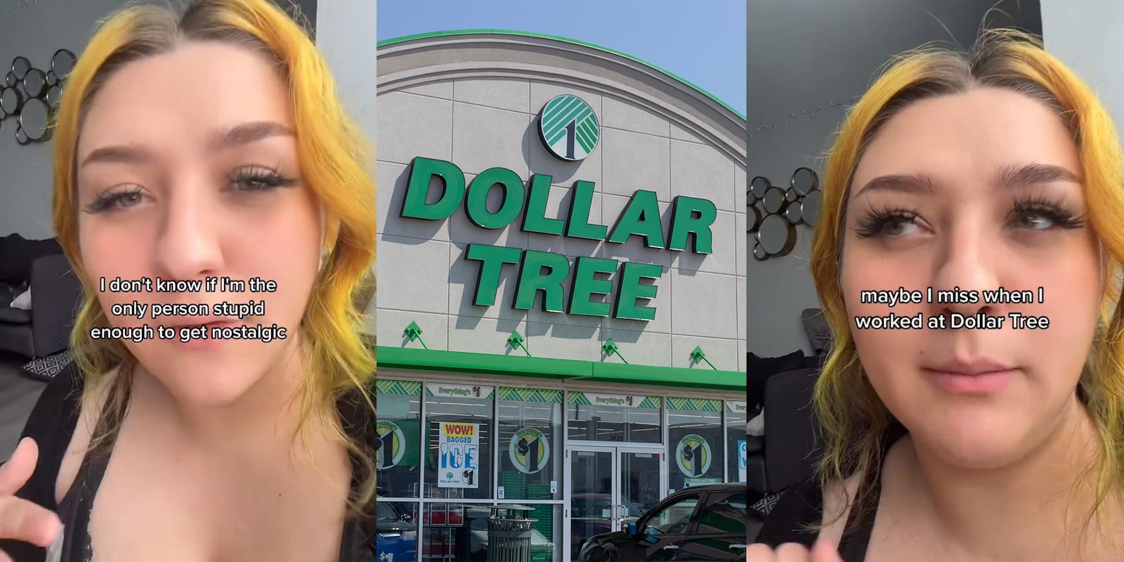 Former Dollar Tree worker says customer tried to return a $1 bucket she bought 2 years ago