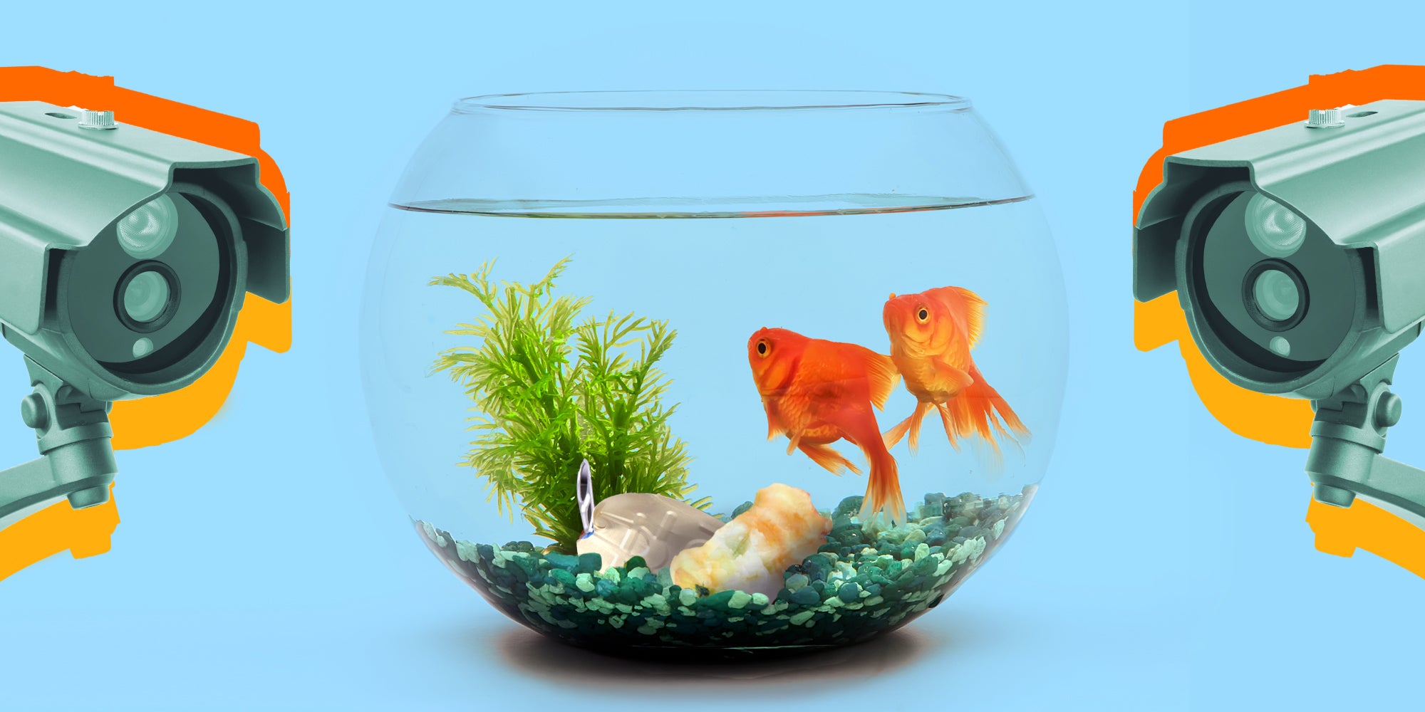 fish in fish bowl with garbage with security cameras at left and right sides Passionfruit Remix