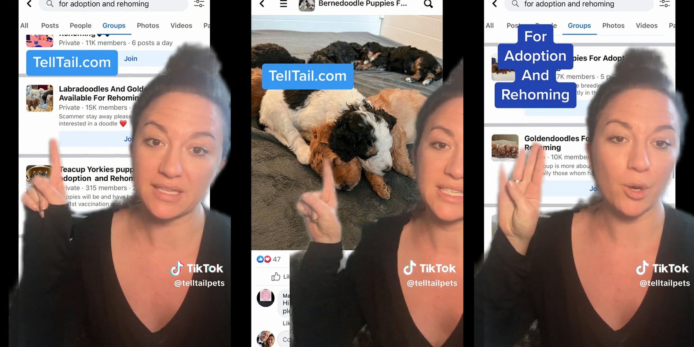 star pets is a scam reviews｜TikTok Search