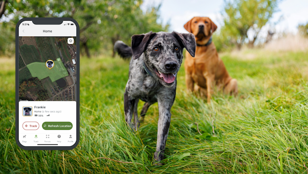 An ad for the Daily Dot newsletter