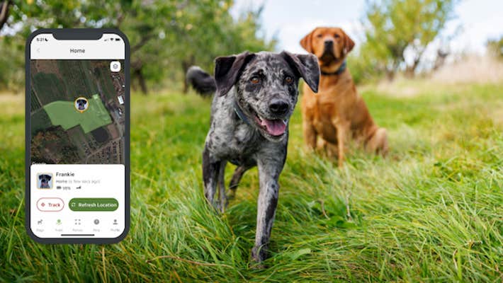 An ad for the Daily Dot newsletter