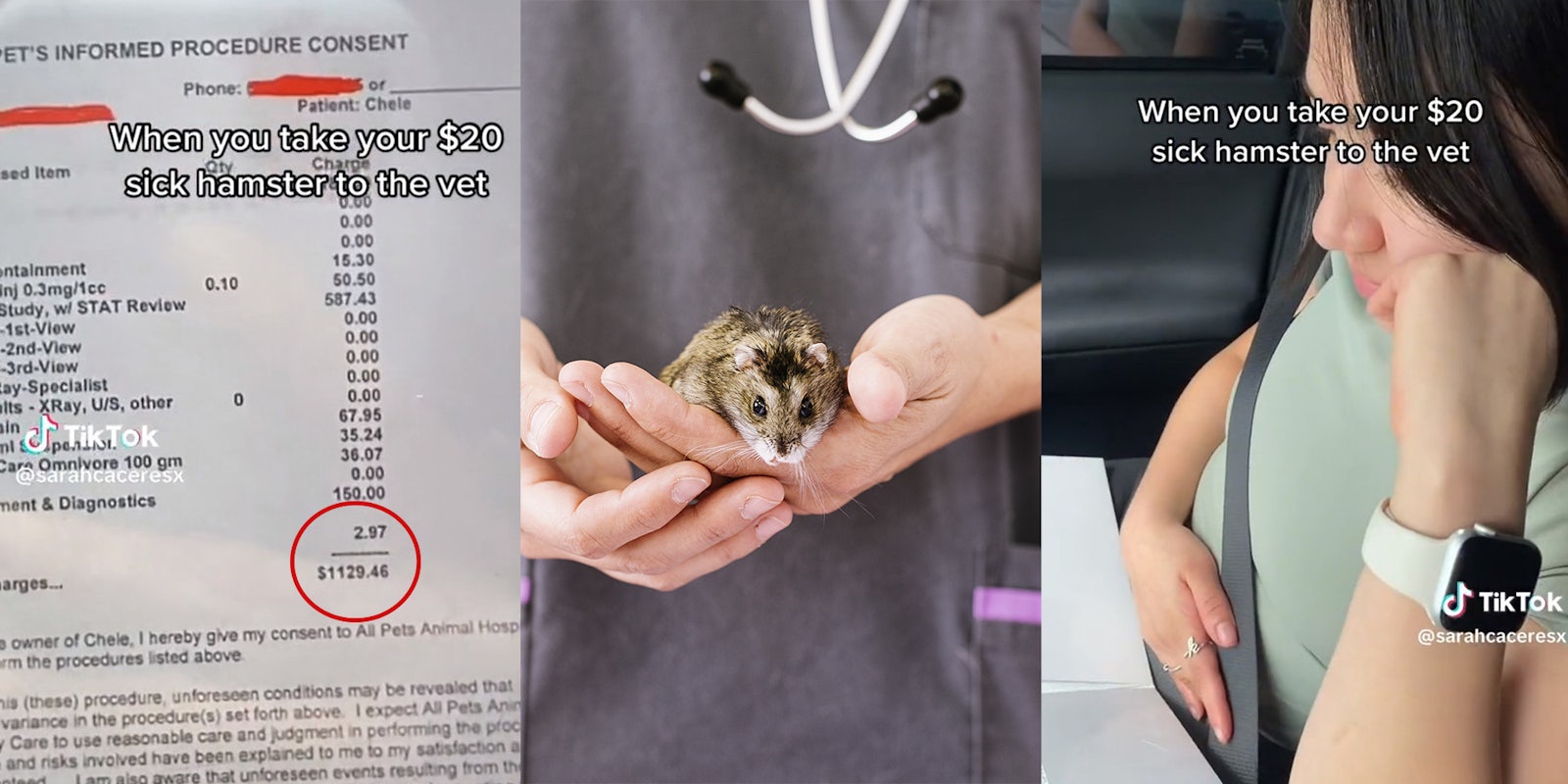 Vet bill;Veterinarian doctor is making a check up of a little hamster. Veterinary Concept; woman with her hand on her cheek watching folder
