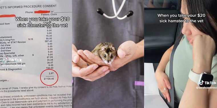 Vet bill;Veterinarian doctor is making a check up of a little hamster. Veterinary Concept; woman with her hand on her cheek watching folder