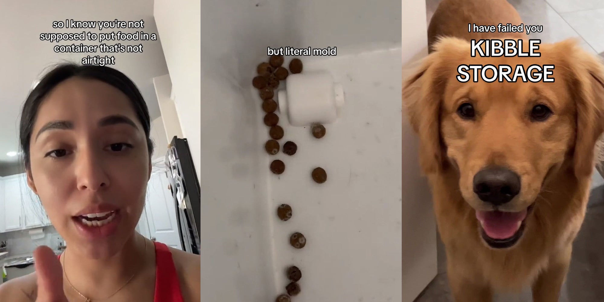 PSA Woman Finds Mold In Her Dog’s Dry Food