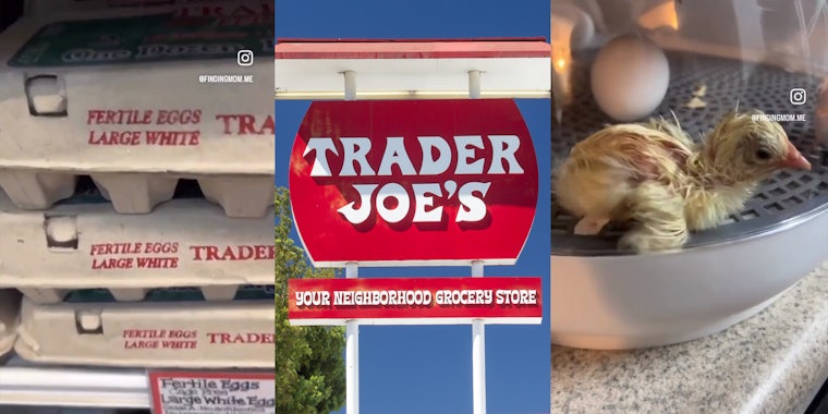 Customer hatches eggs from Trader Joe's