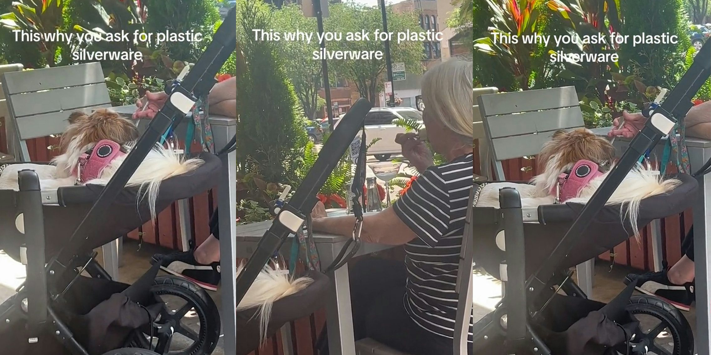 Customer says to always ask for plastic utensils after witnessing woman and her dog sharing same fork at restaurant
