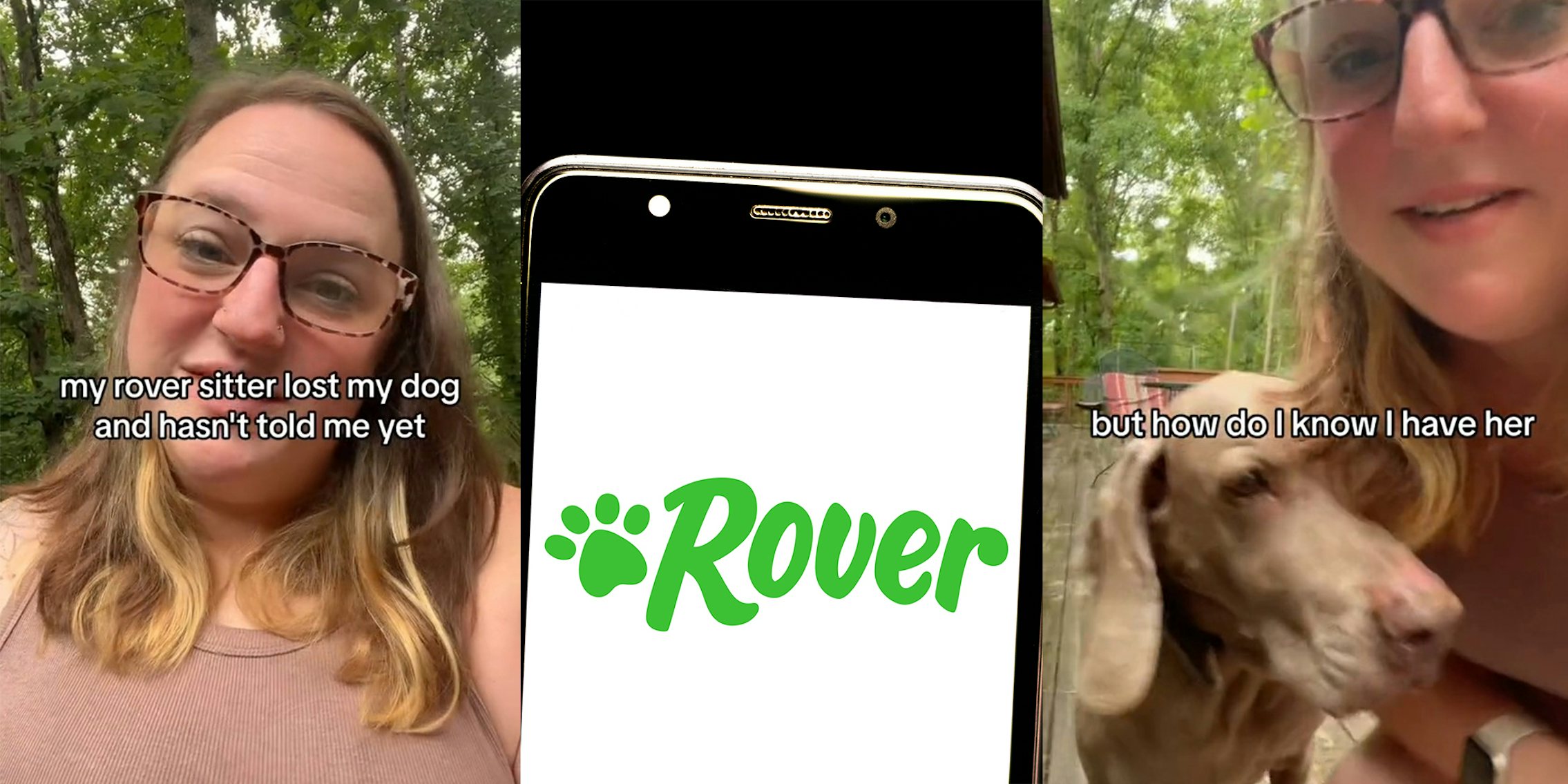Customer says Rover sitter lost her dog and didn't tell her
