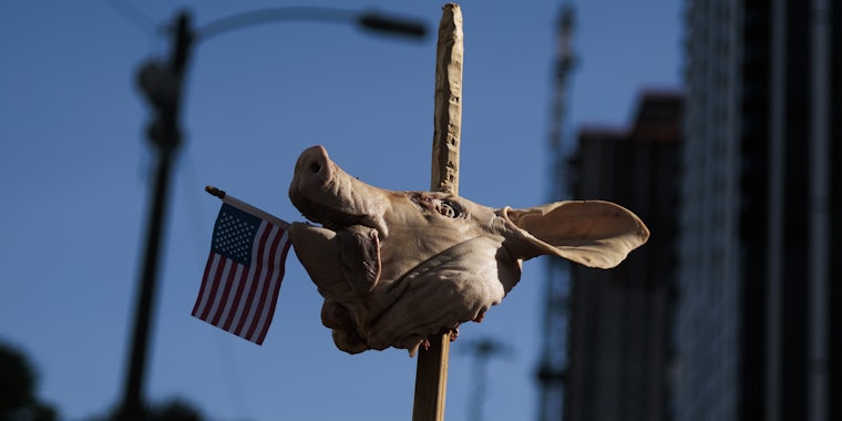 A pig's head with an American flag in its mouth on on a spike at the US Federal Courthouse in Miami